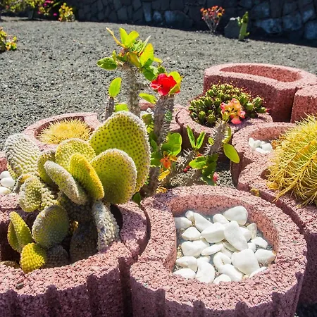 Vila Eslanzarote Eleonor, Super Wifi, Heated Pool, Sat Tv